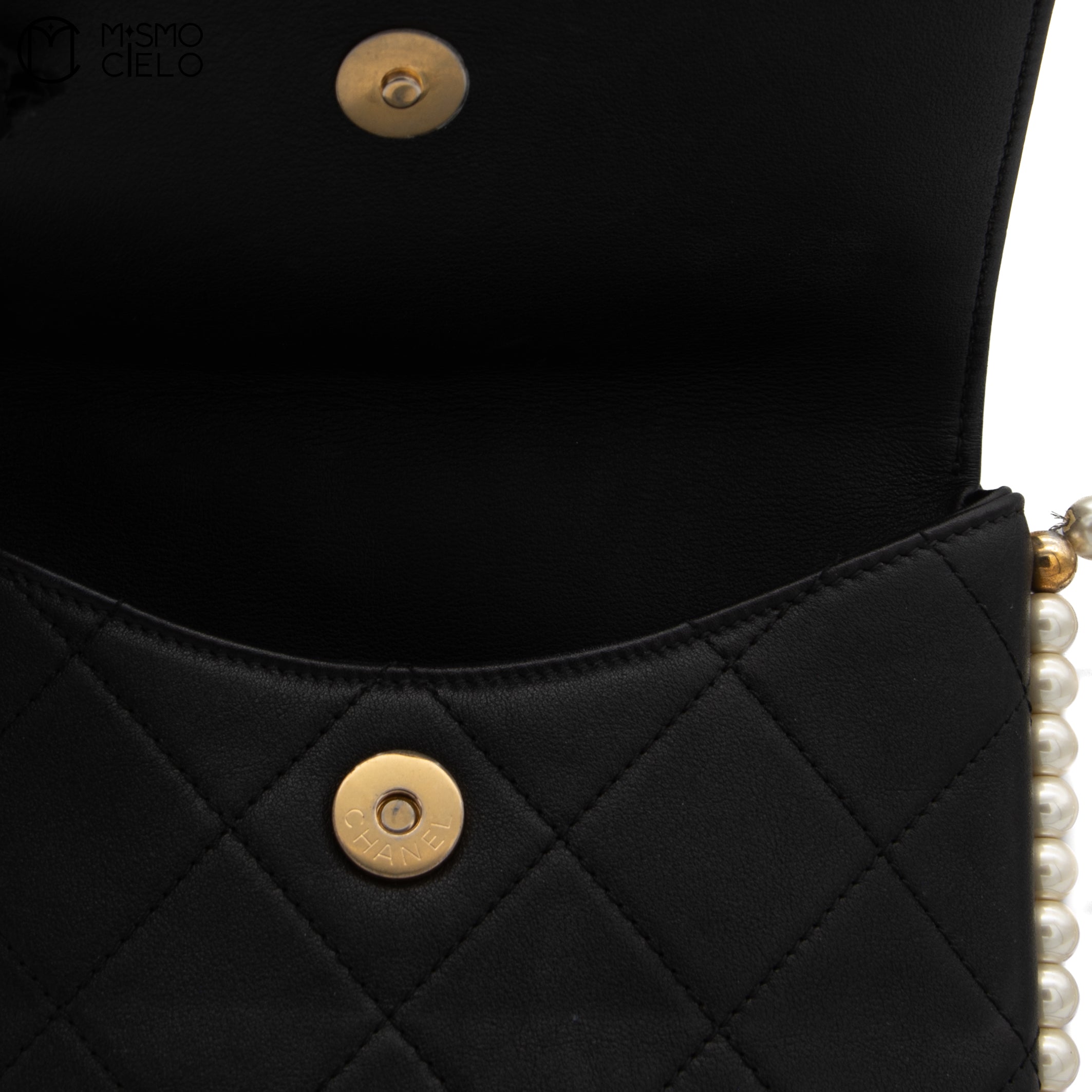 Hobo Pearl Strap Shoulder Bag