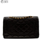 Matelasse Lambskin Double Flap Paris Limited Edition Shoulder Bag