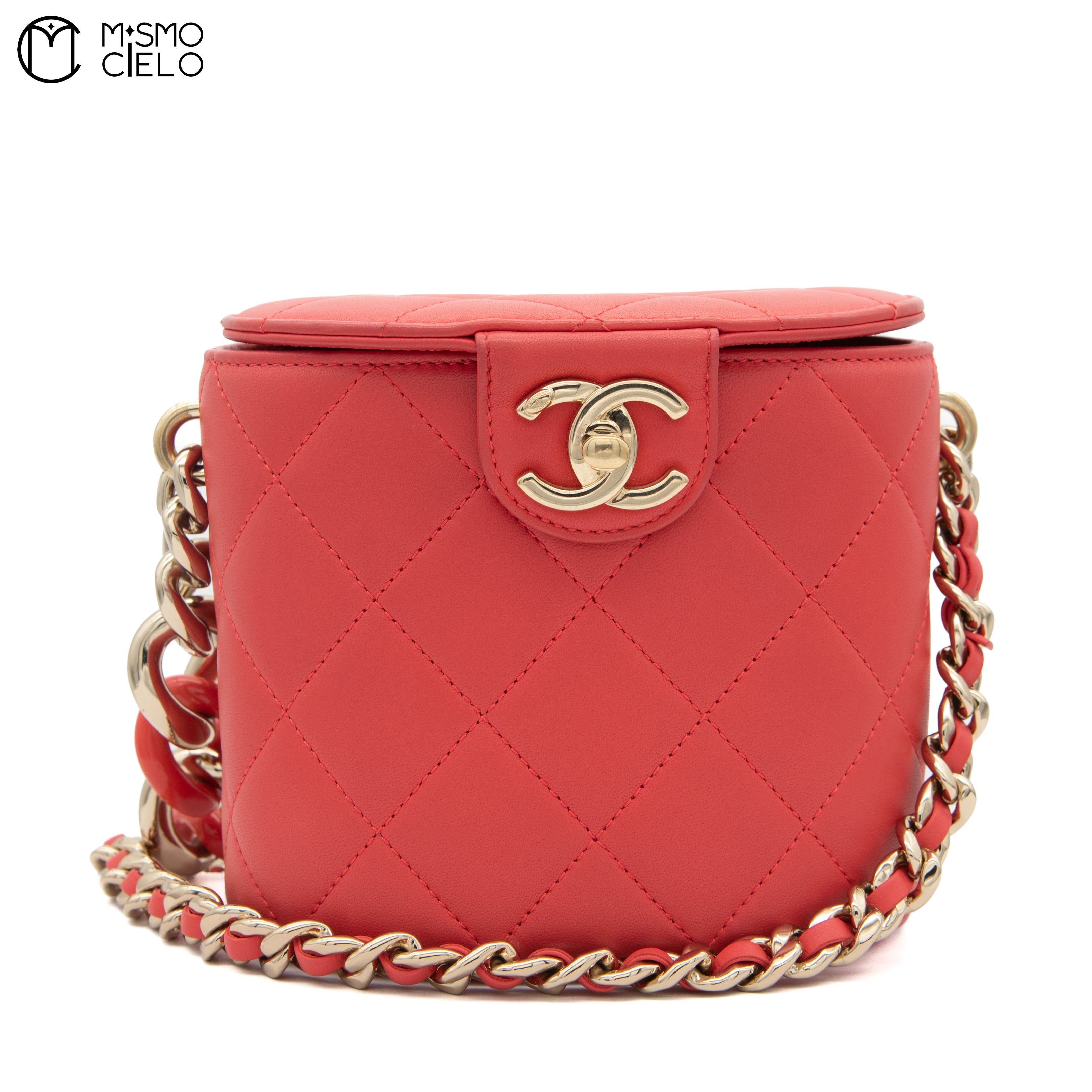 Matelasse Leather Vanity Shoulder Bag