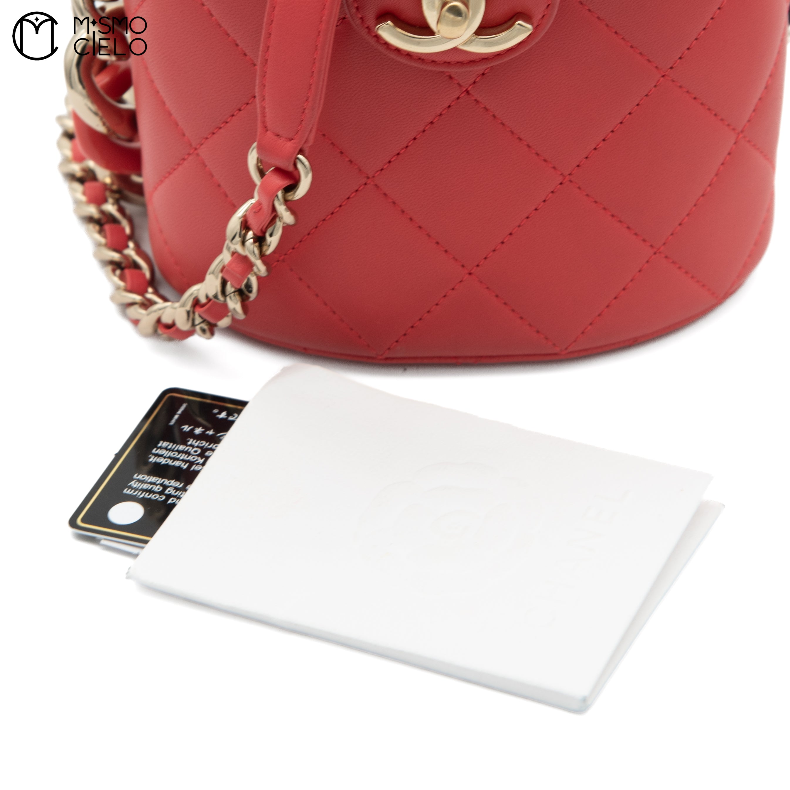 Matelasse Leather Vanity Shoulder Bag