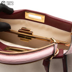 Peekaboo Crocodile 2 Way Bag