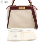 Peekaboo Crocodile 2 Way Bag