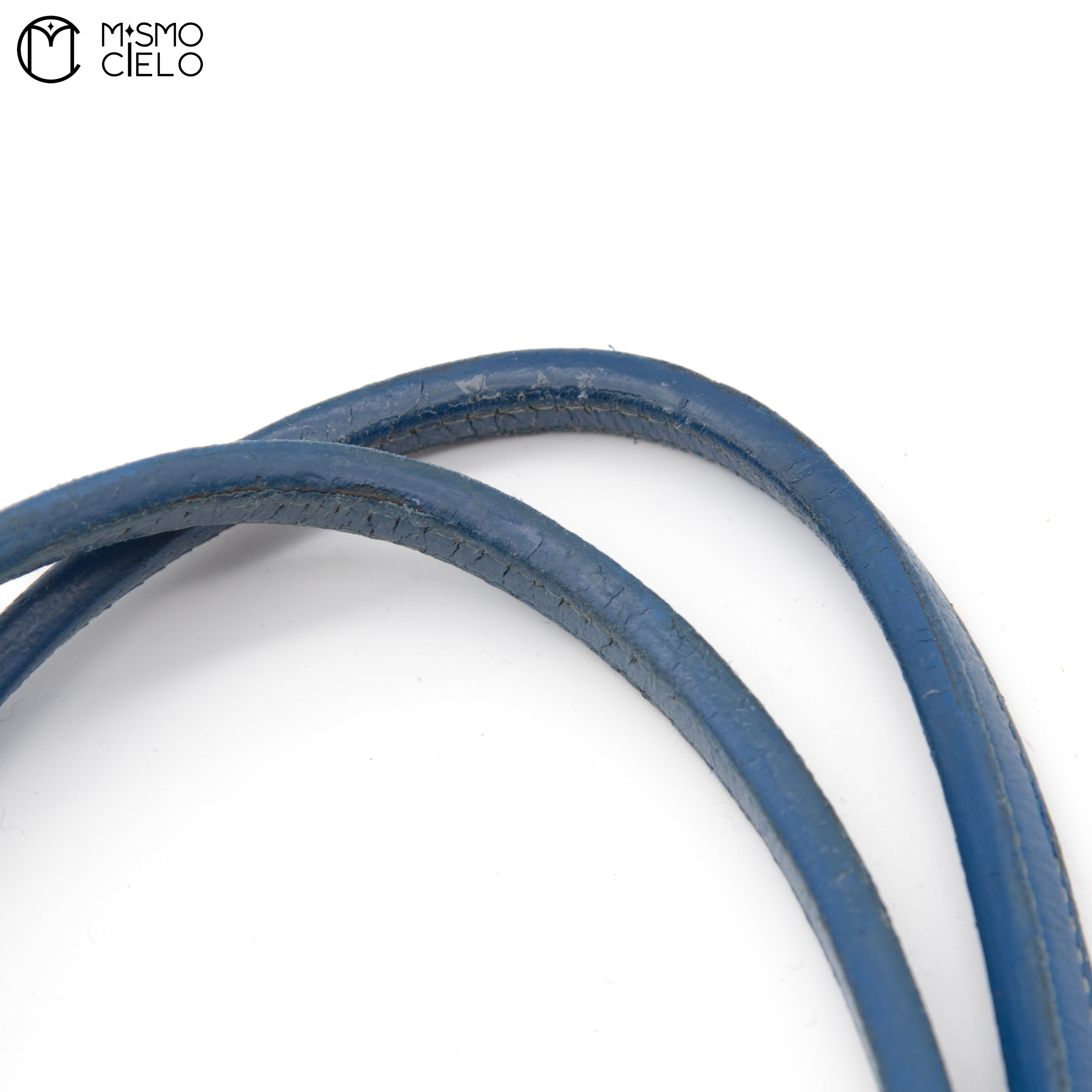 Saint Louis PM Blue Tote bag with Pouch