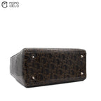 Trotter Lady Dior Patent Handbag Brown and Khaki