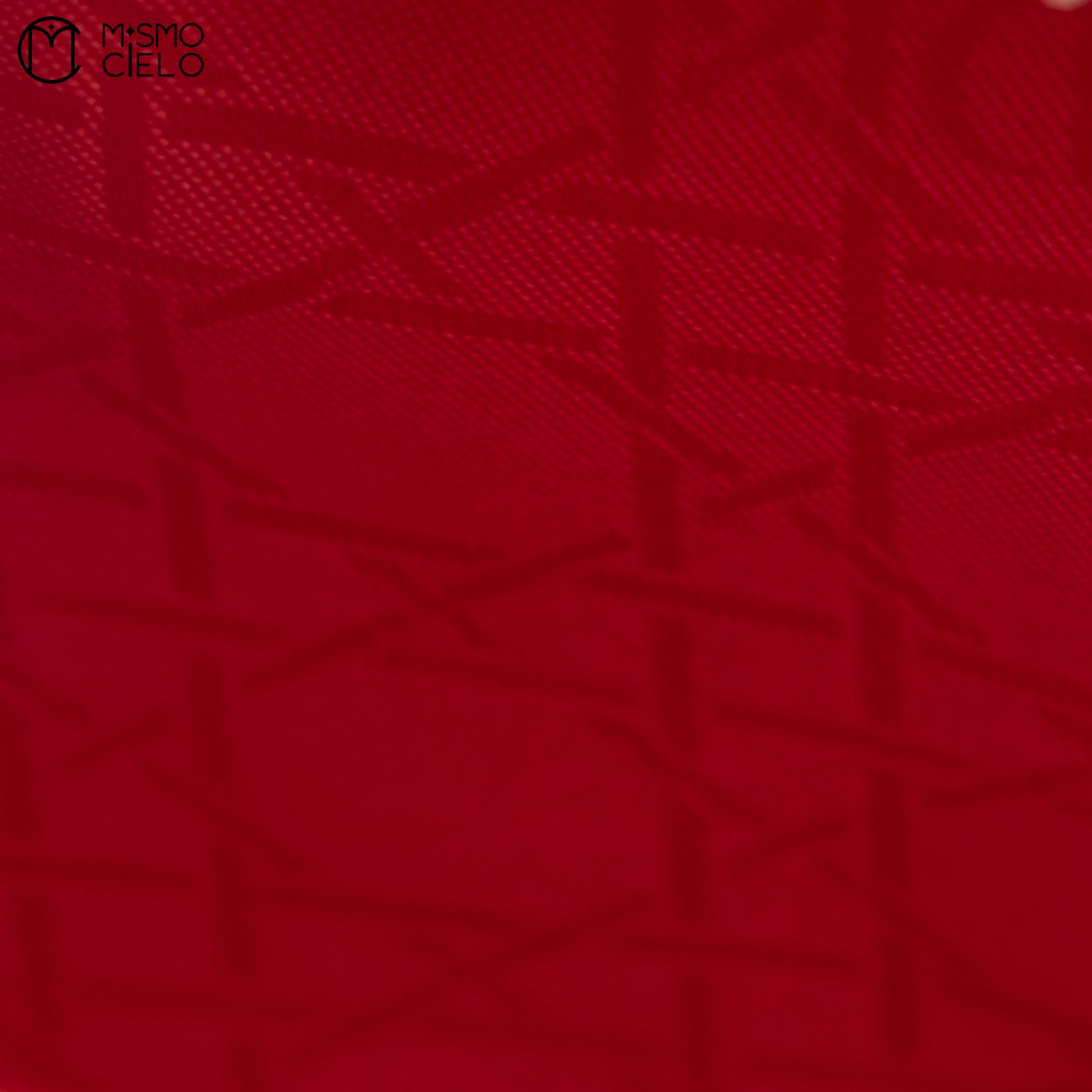 Large Lady Dior Cannage Enamel 2WAY Burgundy Shoulder Bag