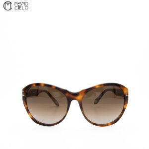 Large Brown Sunglasses