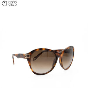 Large Brown Sunglasses