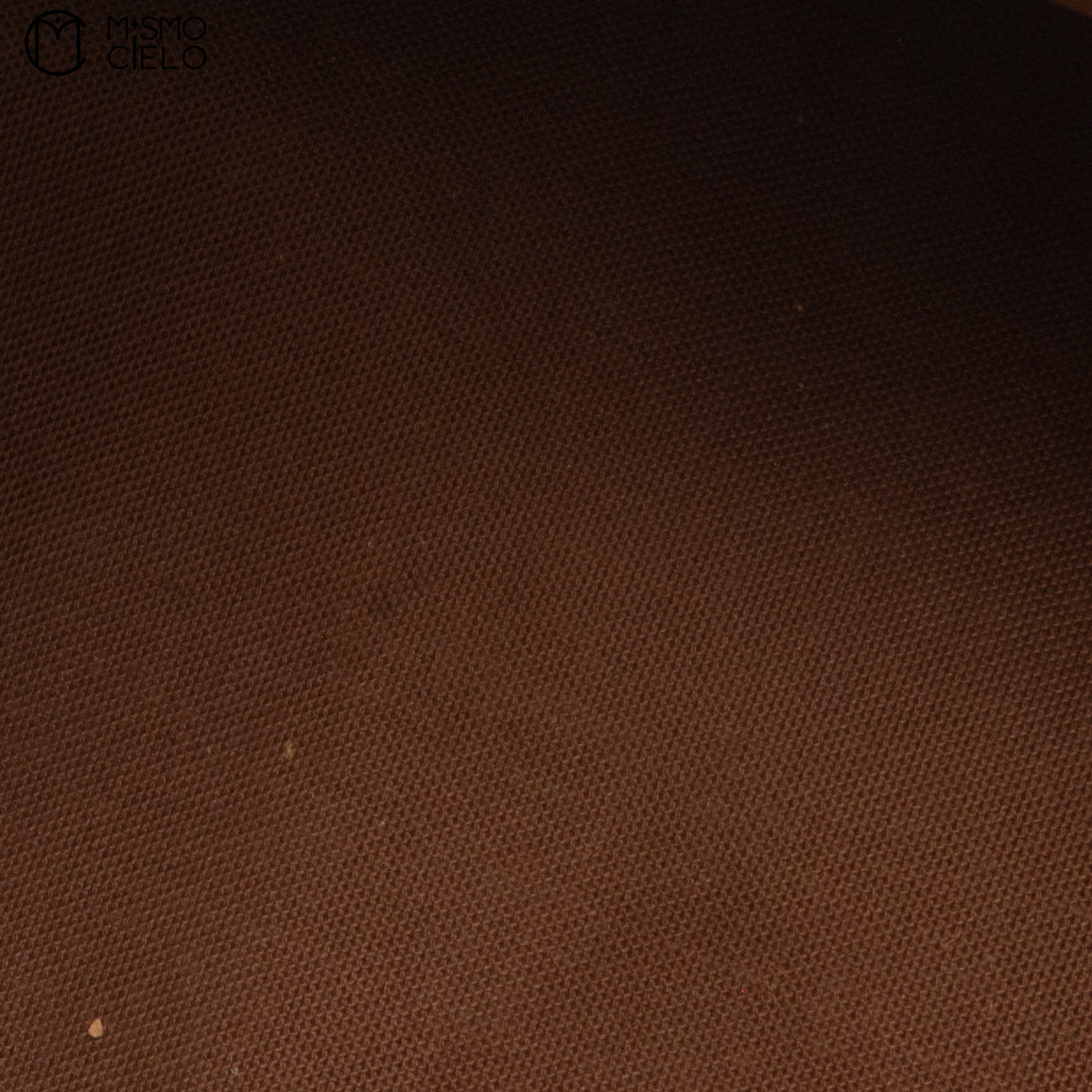 LOUIS VUITTON M41526 Speedy 30