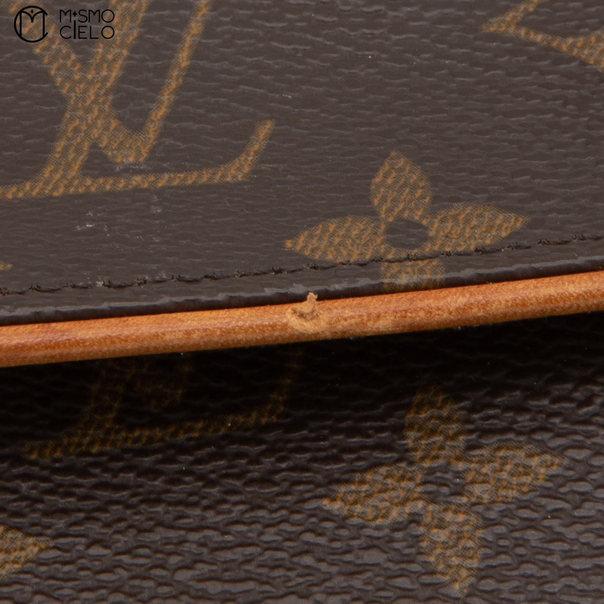 LOUIS VUITTON Pochette Florentine