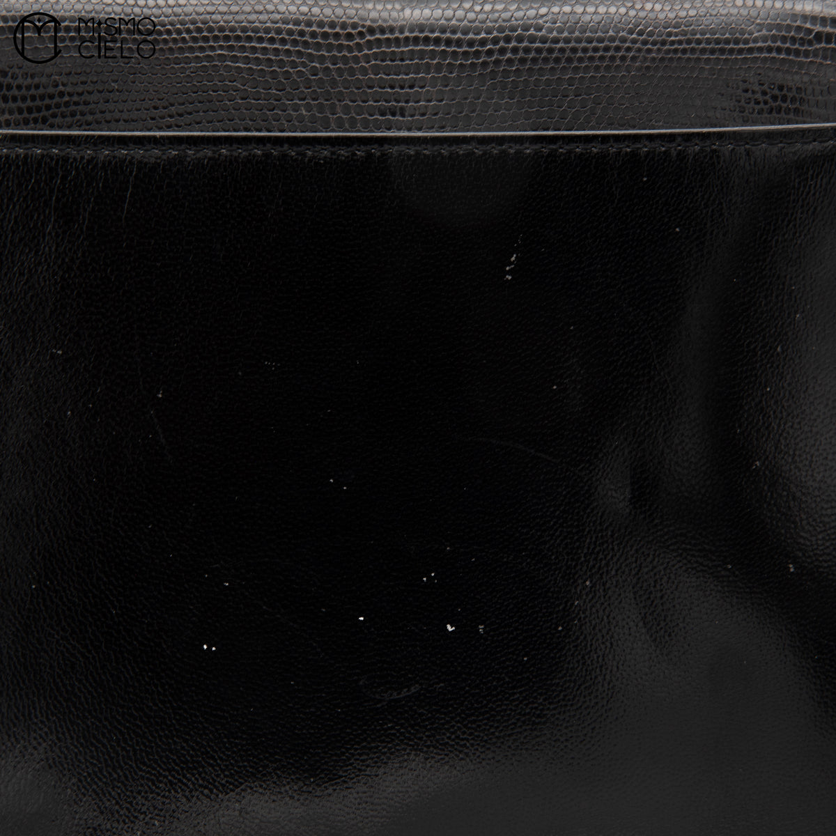 Black Lizard Shoulder Bag