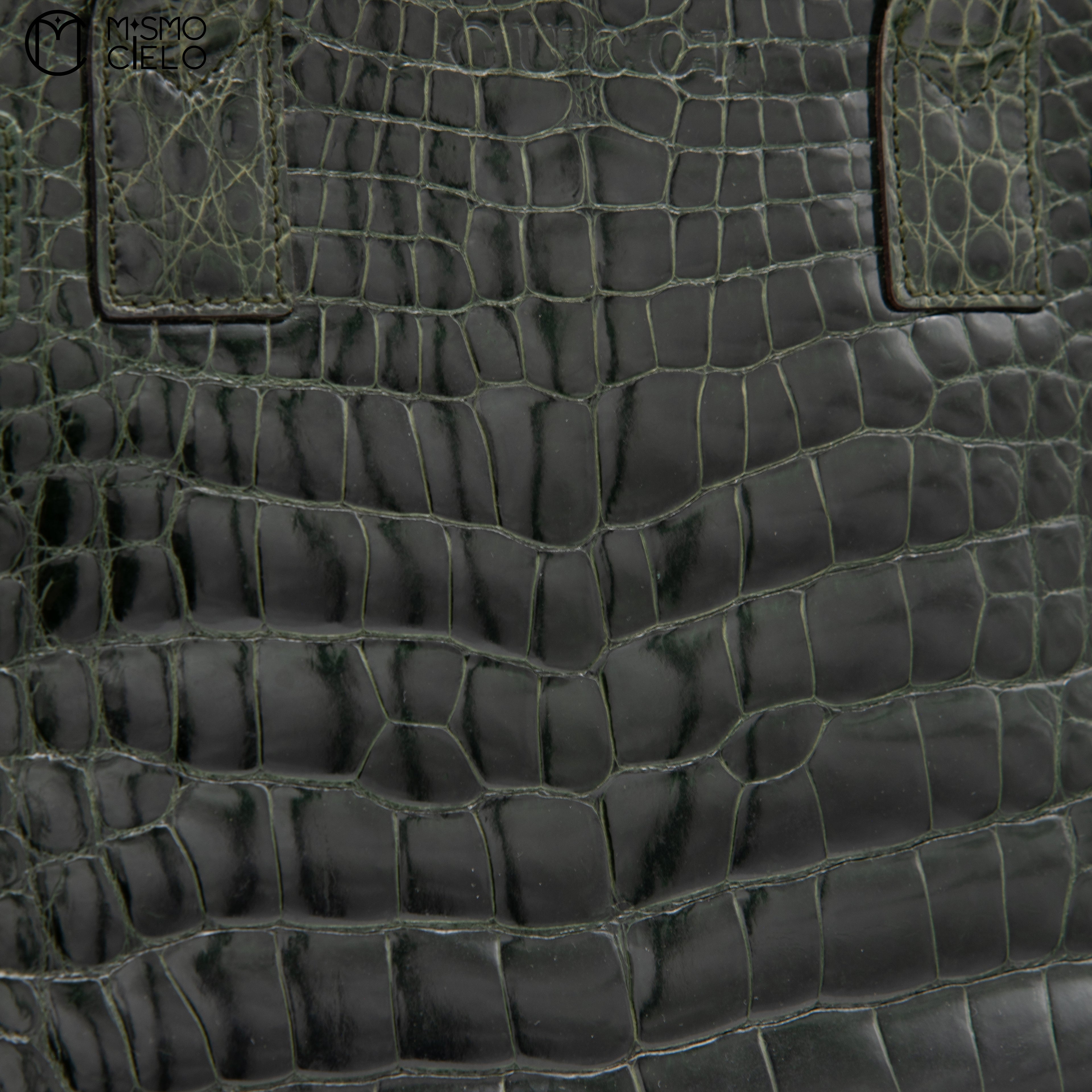 GUCCI Olive Green Crocodile Handbag with Strap ^