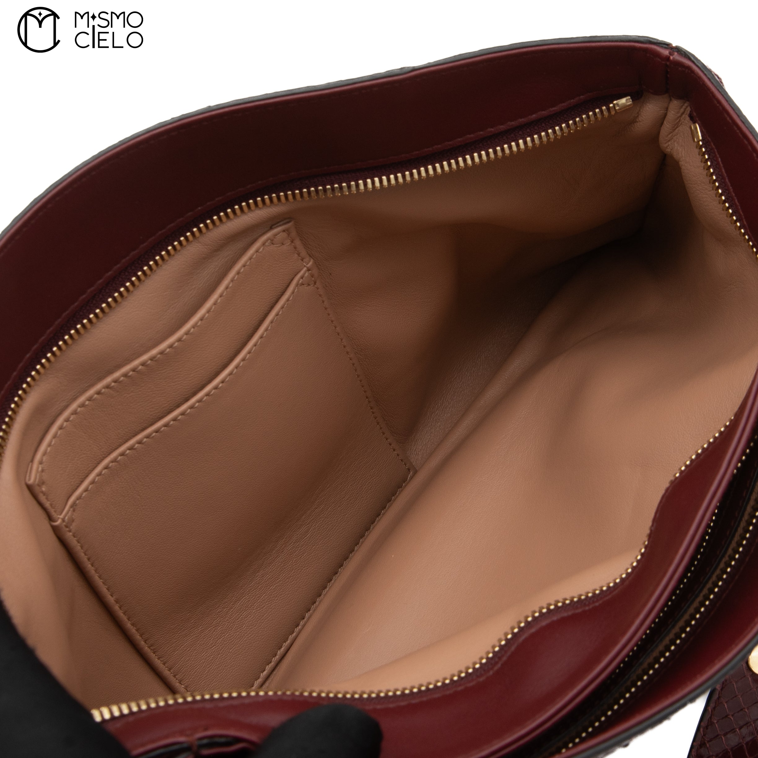 GUCCI Burgundy Python Ally Marmont Handbag