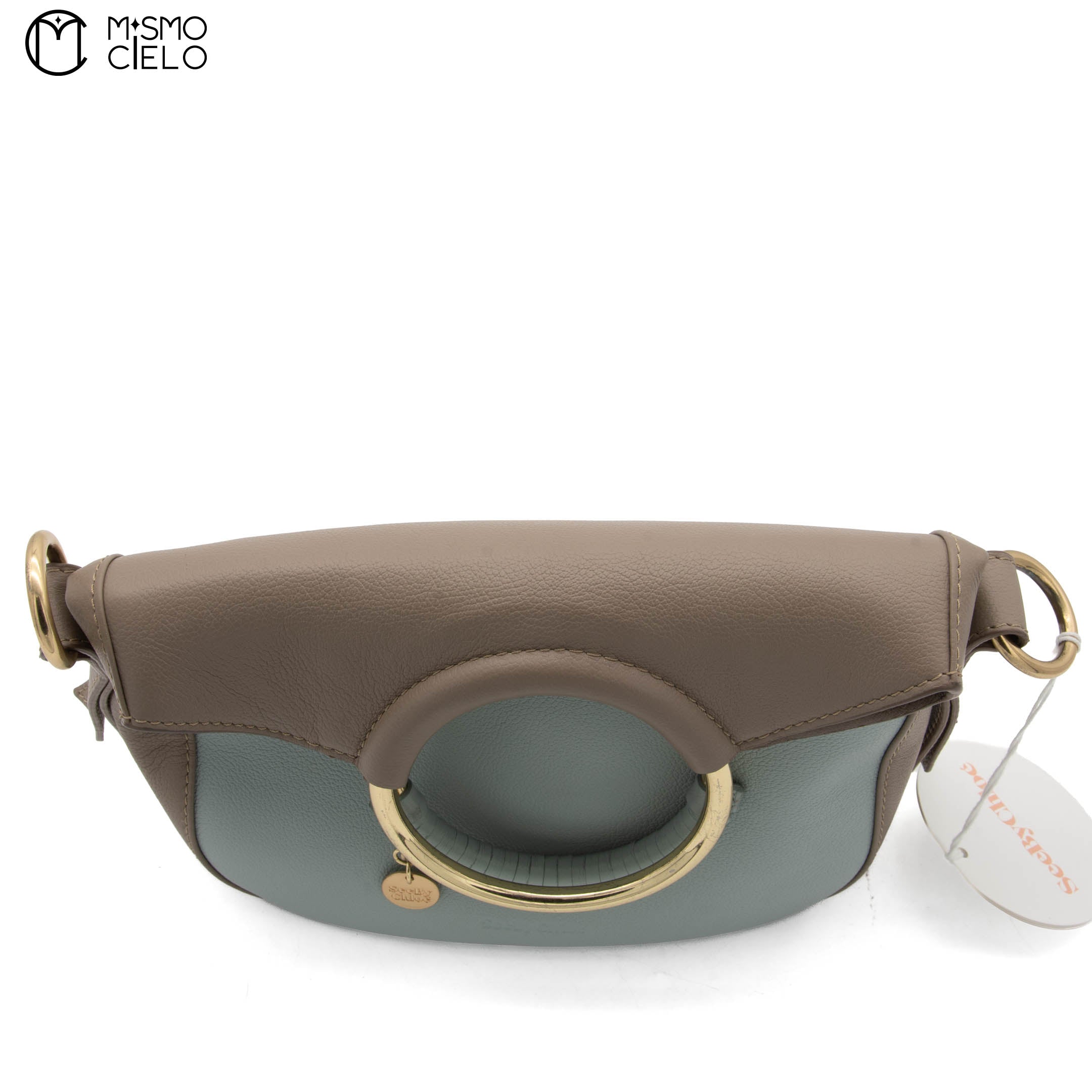 Blue and Brown See by Chloe Shoulder Bag