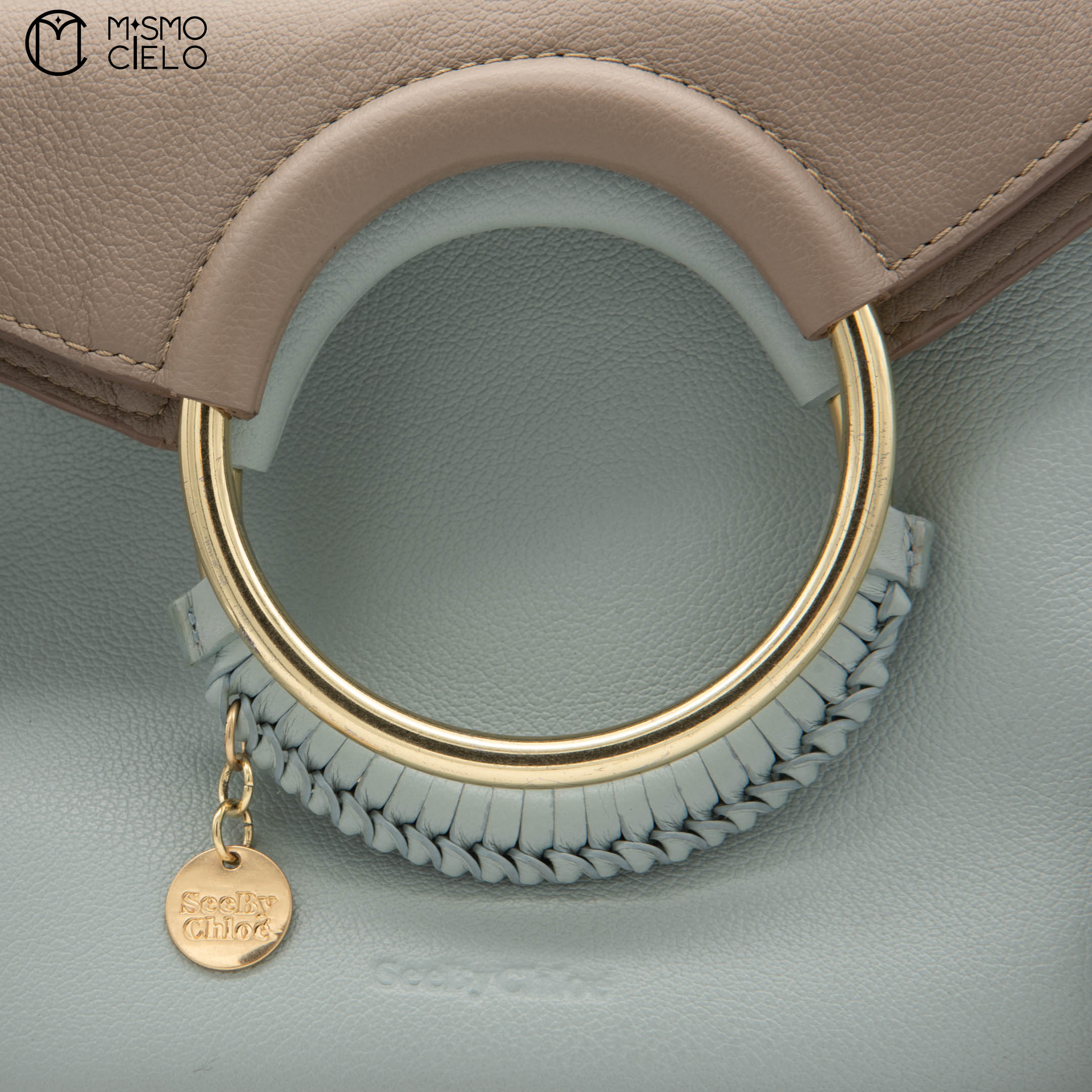 Blue and Brown See by Chloe Shoulder Bag