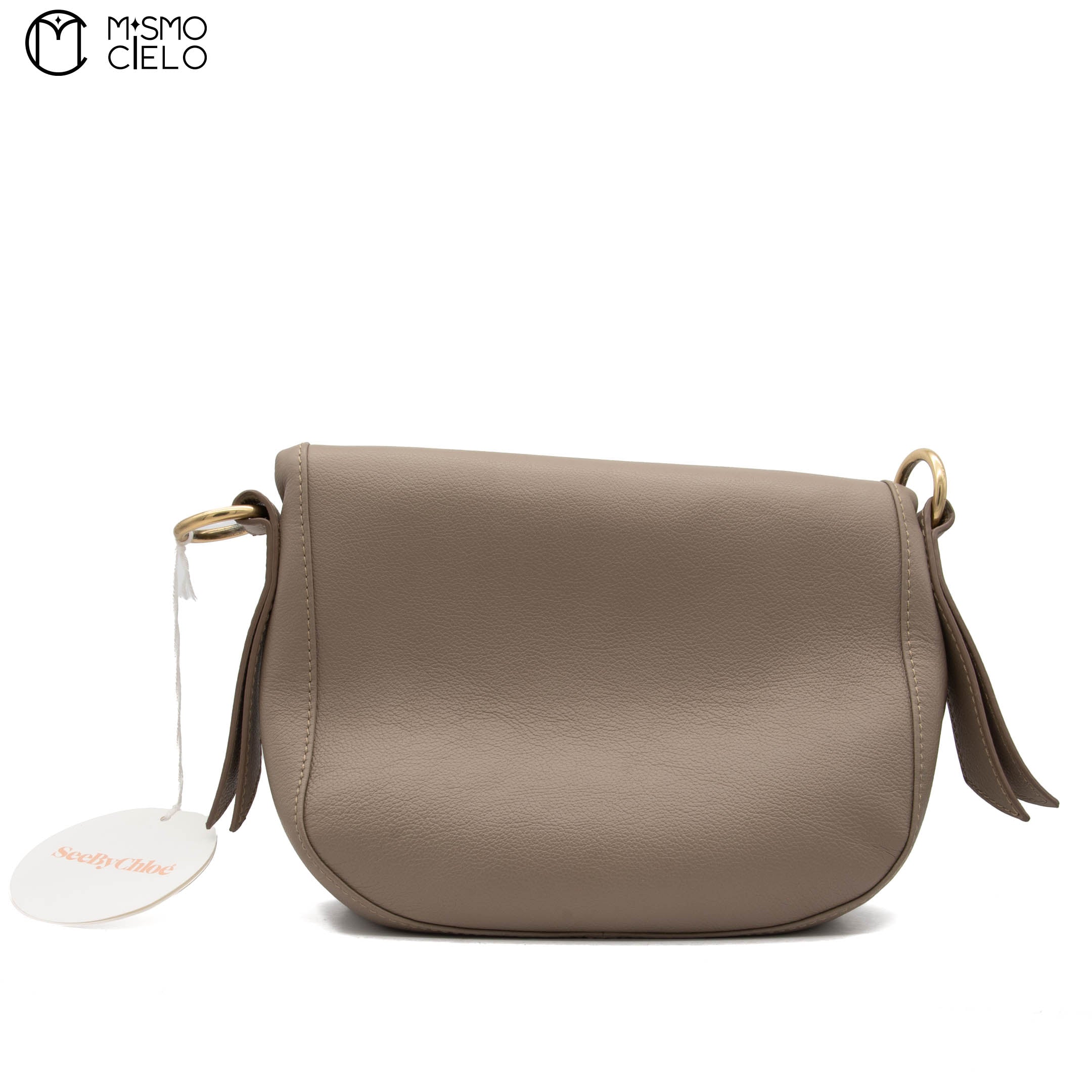 Blue and Brown See by Chloe Shoulder Bag