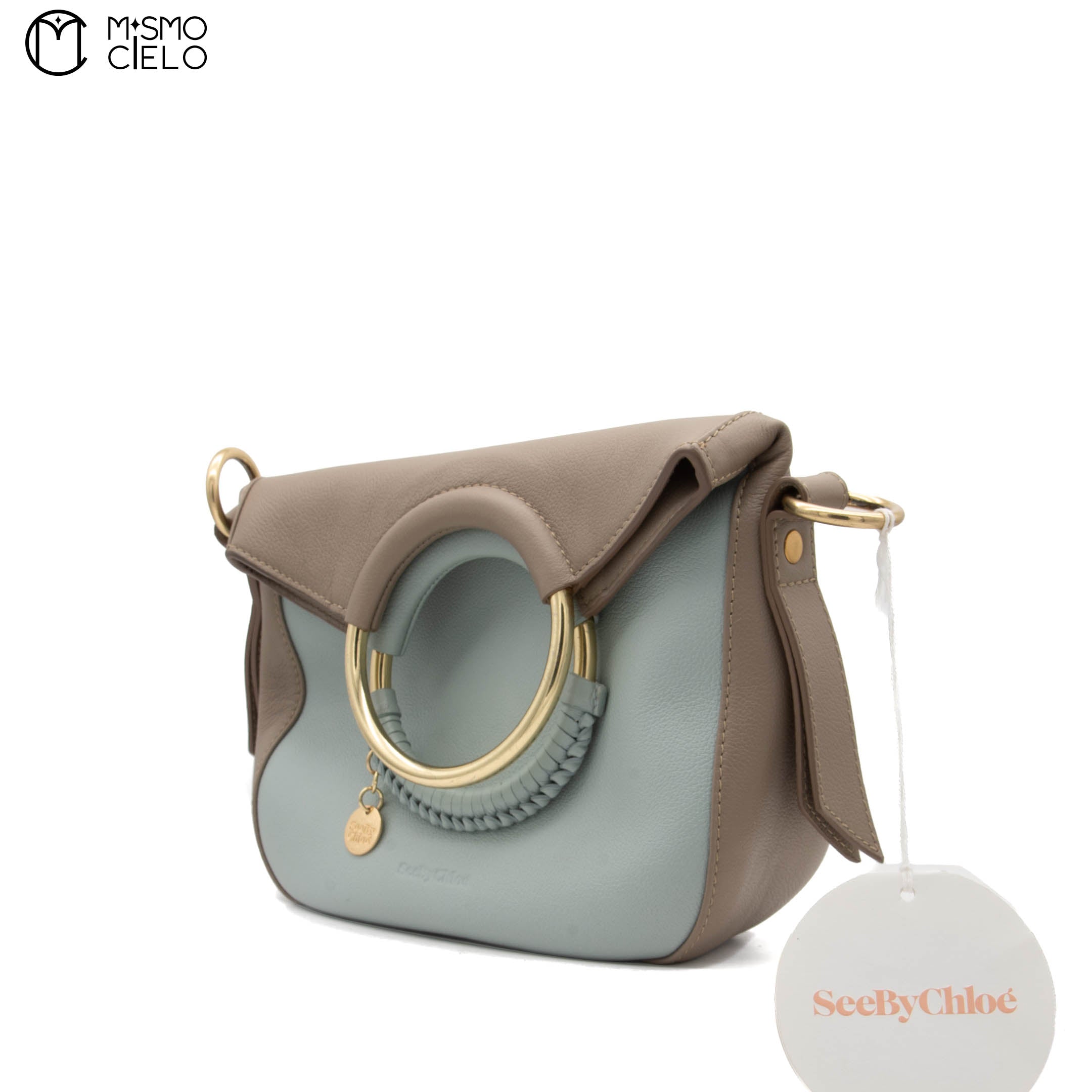 Blue and Brown See by Chloe Shoulder Bag