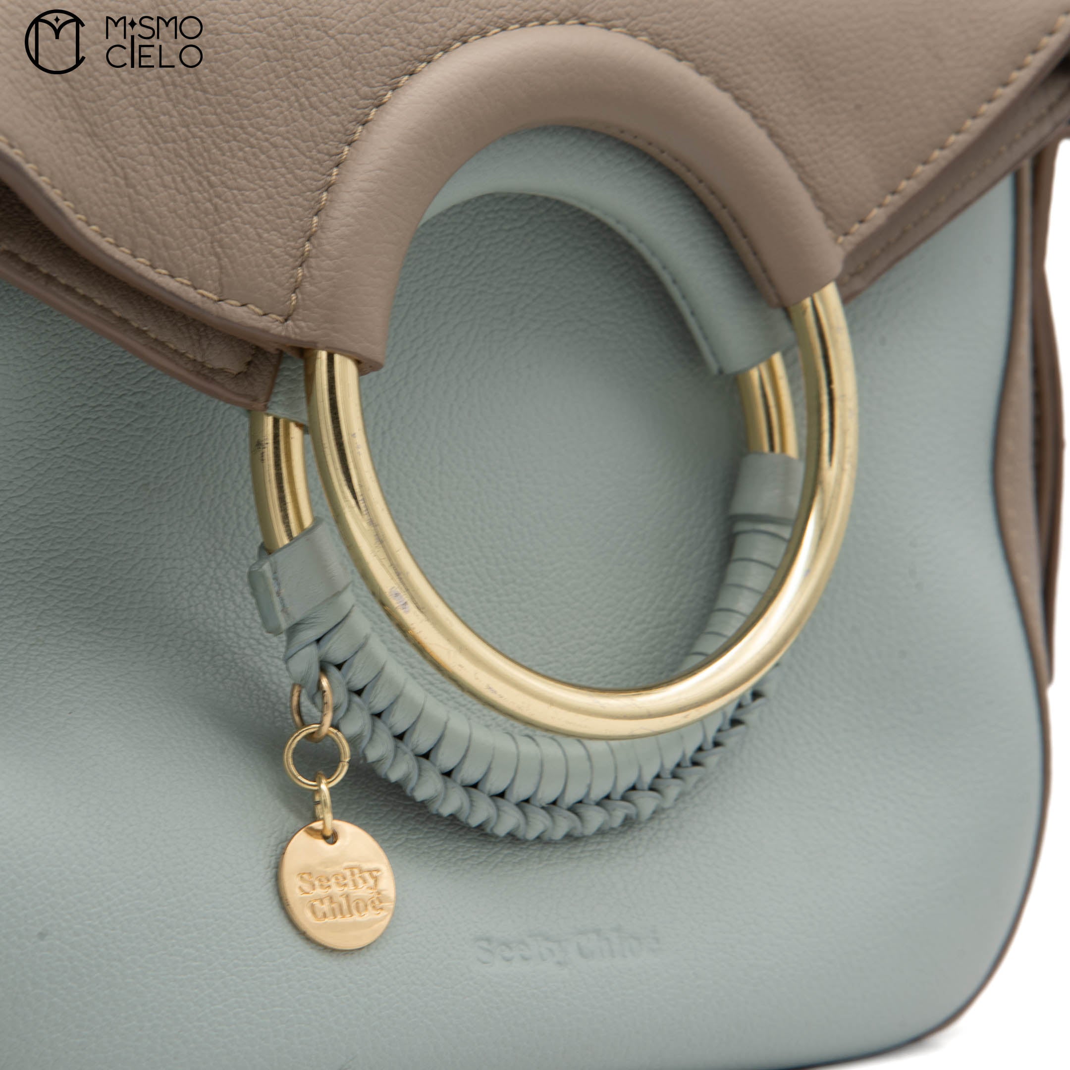 Blue and Brown See by Chloe Shoulder Bag