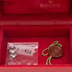 79160 Pink Oyster Perpetual