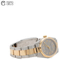 77483 Grey Face Oyster Perpetual Bar Markers