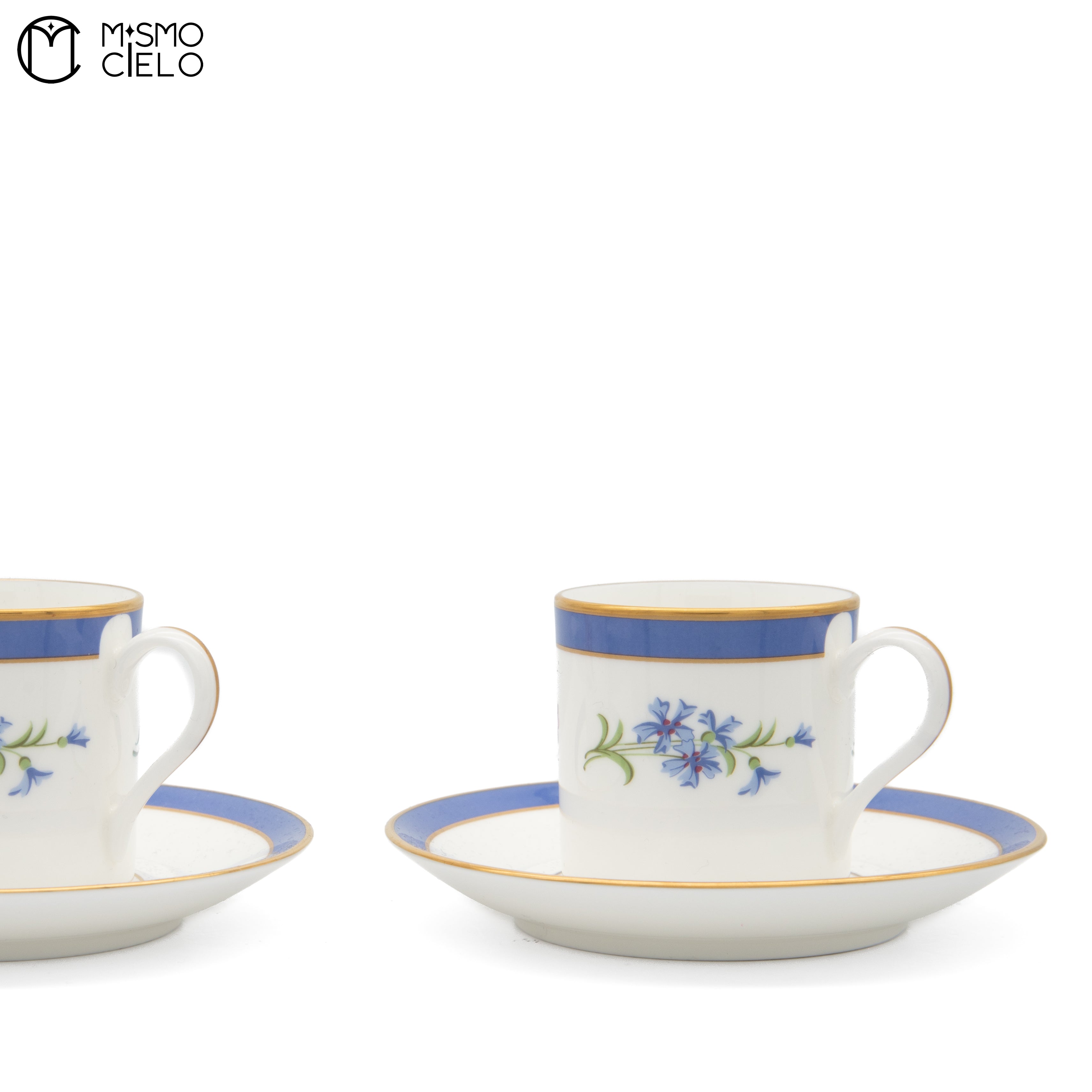 Pair Floral Cup and Saucer