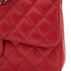 Red 30 Matelasse Classic Caviar Skin Double Flap Shoulder Bag