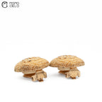Clip-on Earrings
